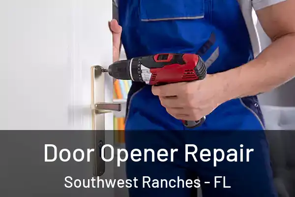 Door Opener Repair Southwest Ranches - FL