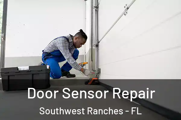 Door Sensor Repair Southwest Ranches - FL
