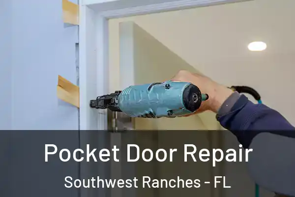 Pocket Door Repair Southwest Ranches - FL