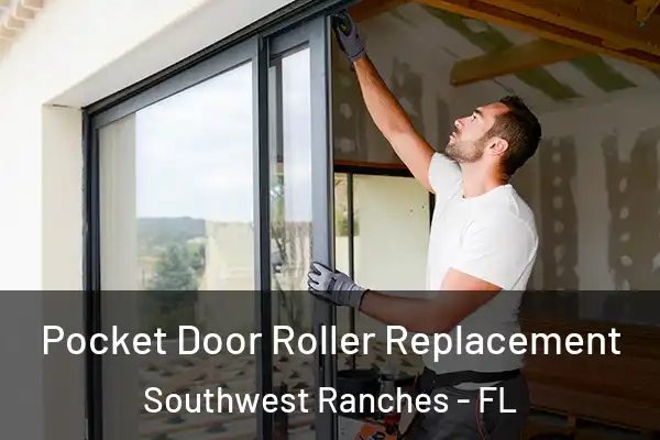 Pocket Door Roller Replacement Southwest Ranches - FL